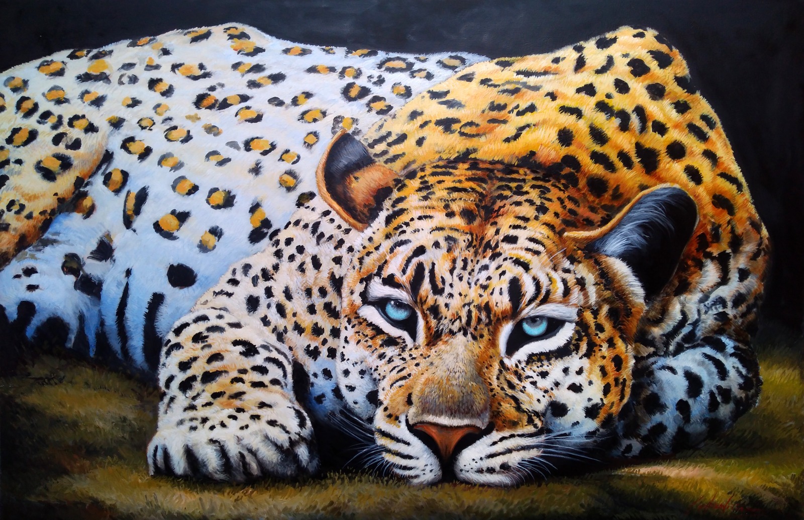 Onça Pintada